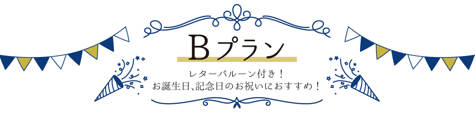 Bプラン